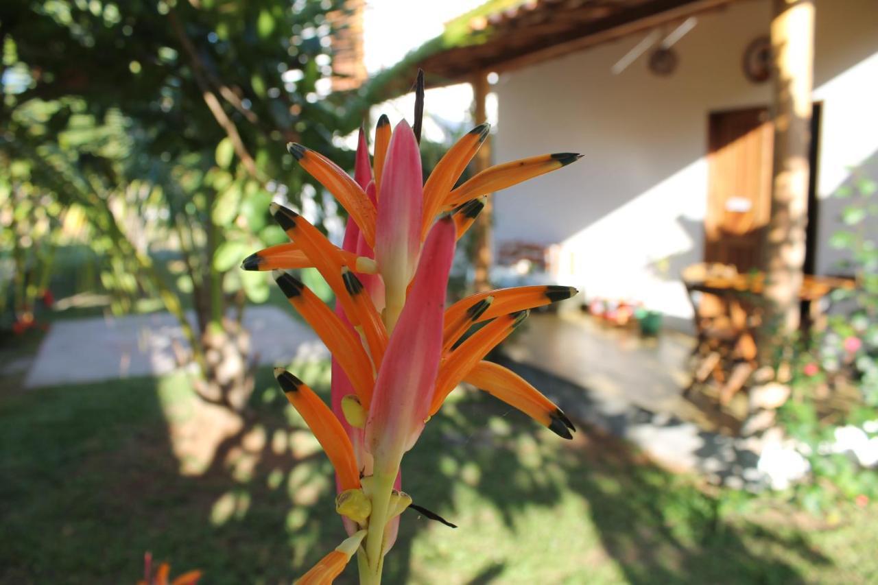 Family Guest House Velha Boipeba Exterior foto